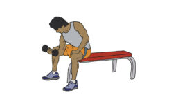 ClipArt_Gym_900