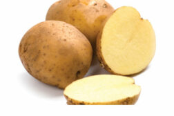 Potato