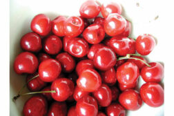 cherries