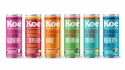 Koe_Cans22_780.jpg