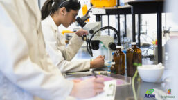 Female Scientist Looking Through Microscope