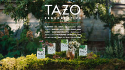 Tazo Regenerative 