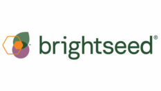 Brightseed_logo