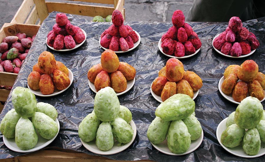 Different Colors of Prickly Pears