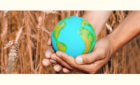 Hands Holding Globe in Wheat Field