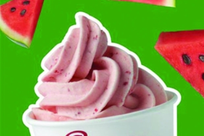 Jamba Juice Whirl'ns Yogurt