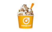 OrangeLeaf900.jpg