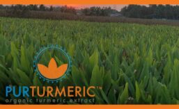 PurTumeric_900