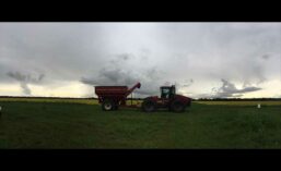 RiceHarvest18_900