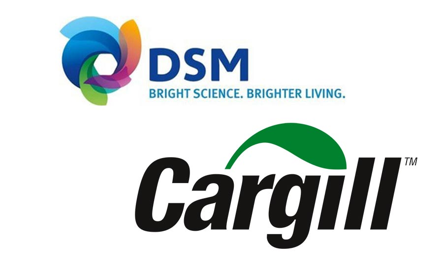 Bold, Serious, Automotive Logo Design for DSM Performance by logomaster24 |  Design #8000447