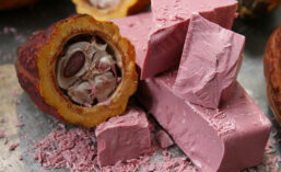 BarryCallebaut_Ruby19_900